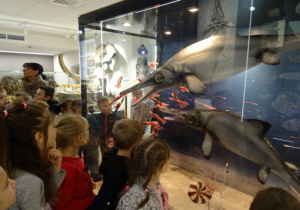 Dzieci oglądają eksponaty ryb.